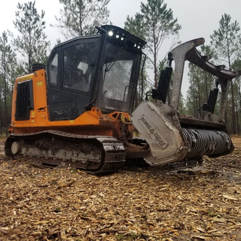 Forestry mulching clearing overgrown land in Marshall, TX