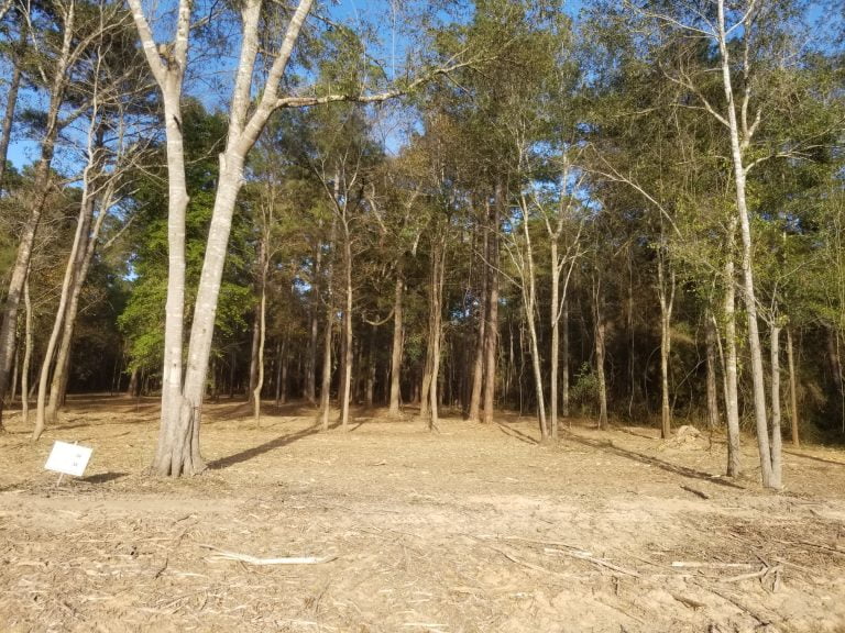 Clearing land for construction in East Texas