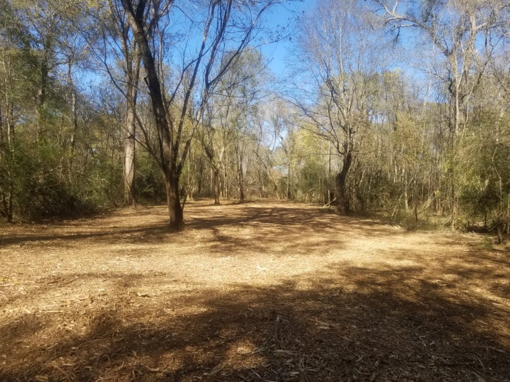 Land clearing preparing site for building