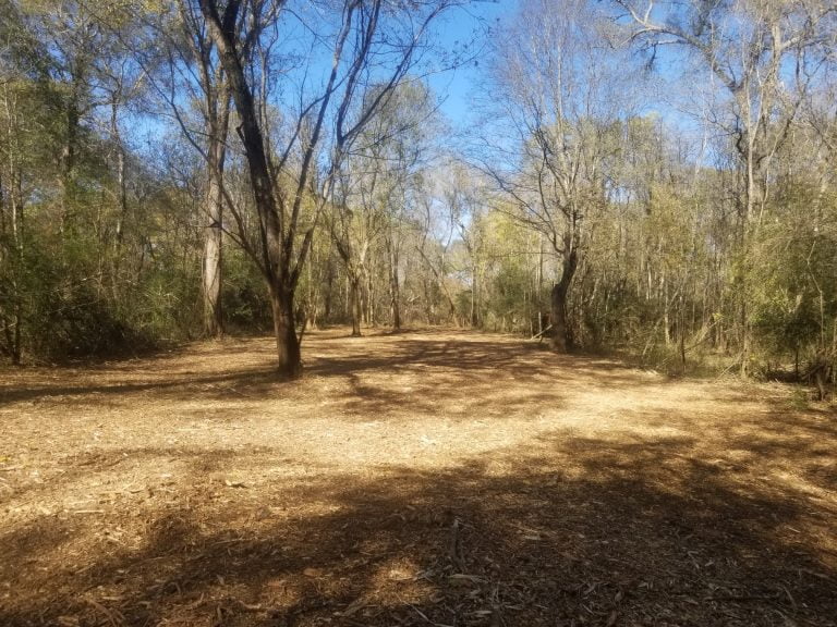 Land clearing preparing site for building