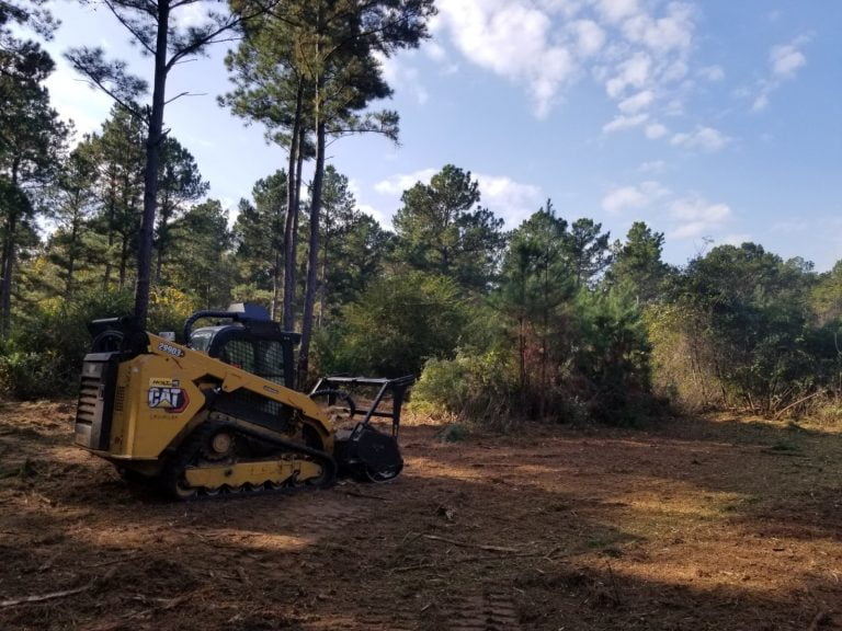 Clearing land for construction in Jacksonville