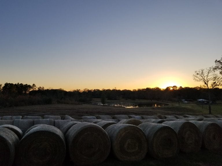 Land clearing improving property usability in Orange, Texas