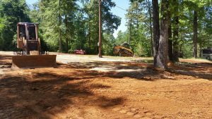 Willis, Texas Land Clearing