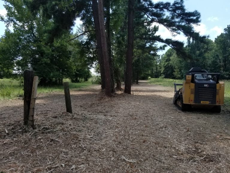 Fence line maintenance clearing brush