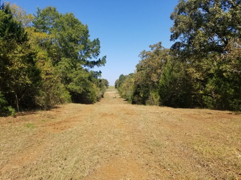 Land clearing improving property usability in Buffalo, TX