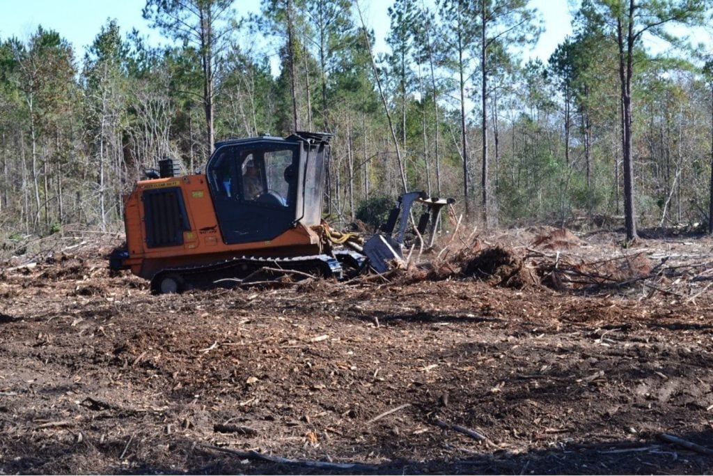 Forestry mulching land management in Centerville, Texas
