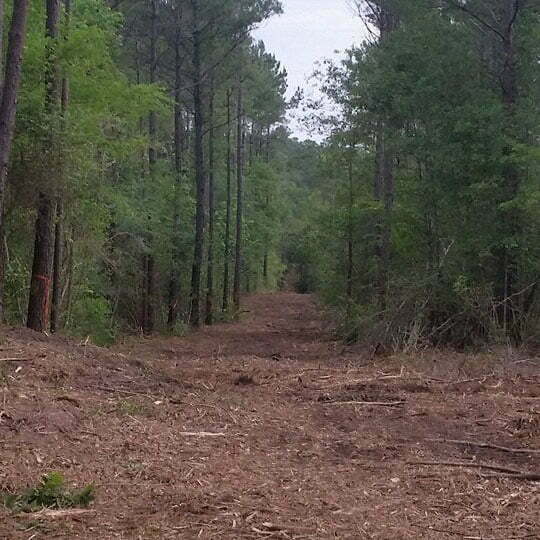 Right-of-Way Clearing and Maintenance