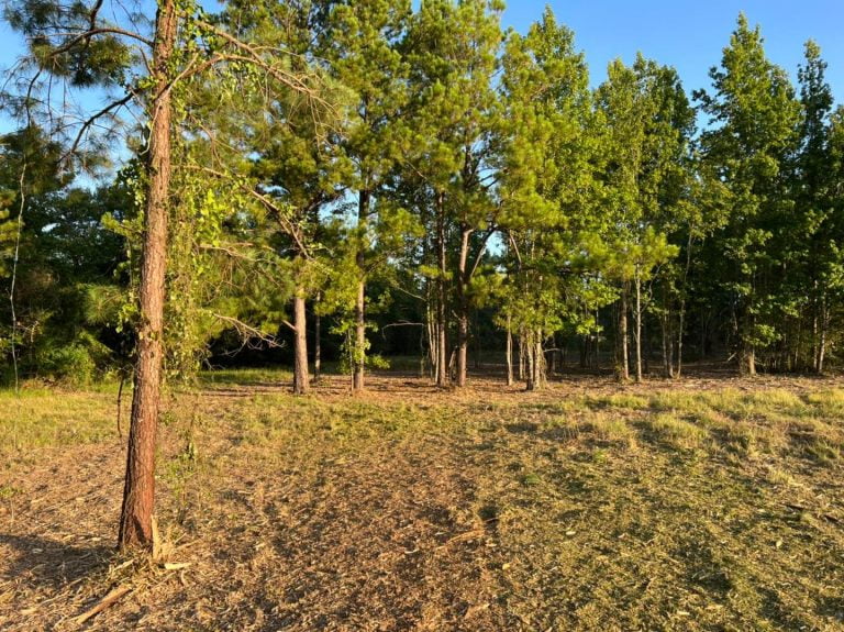 land reclamation removing trees and brush in Elkhart