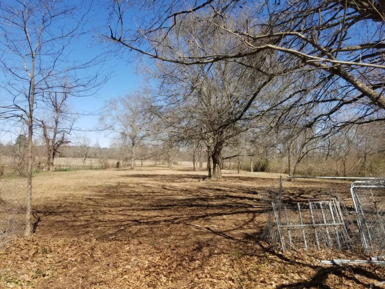 Land clearing removing dense vegetation