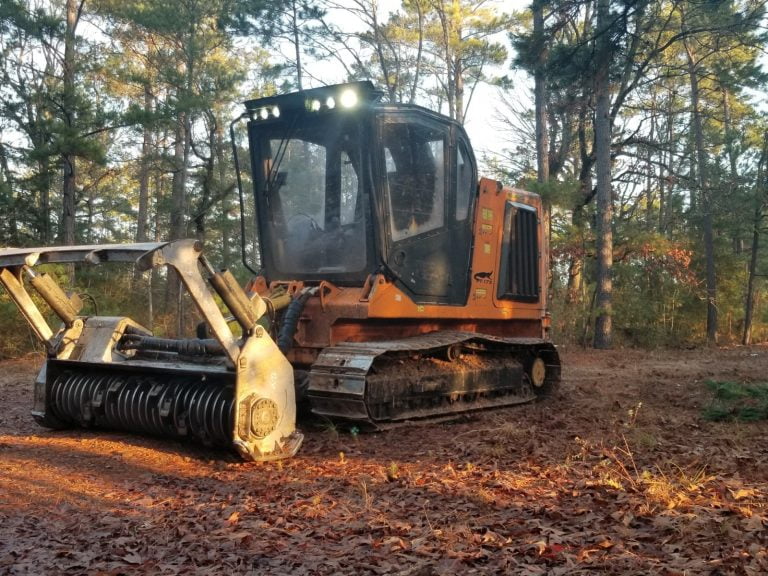 Forestry mulching reclaiming overgrown property