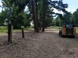 A CAT skid steer on a cleared, mulched land parcel with fence posts and tall trees, indicating land clearing in progress