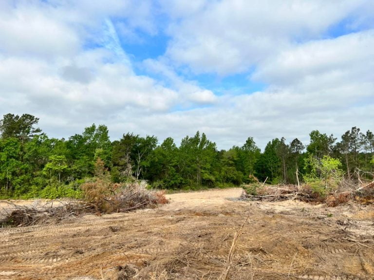 Brush clearing project in East Texas