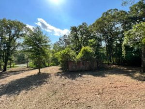 Forestry mulching clearing wooded area