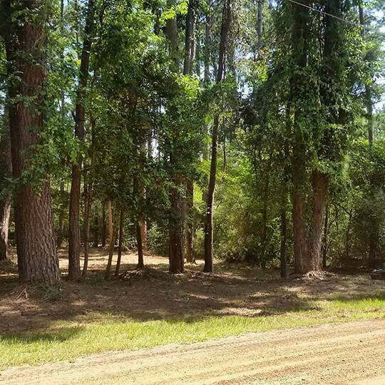 underbrush clearing in Gladewater, tx