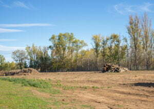 land clearing in jefferson