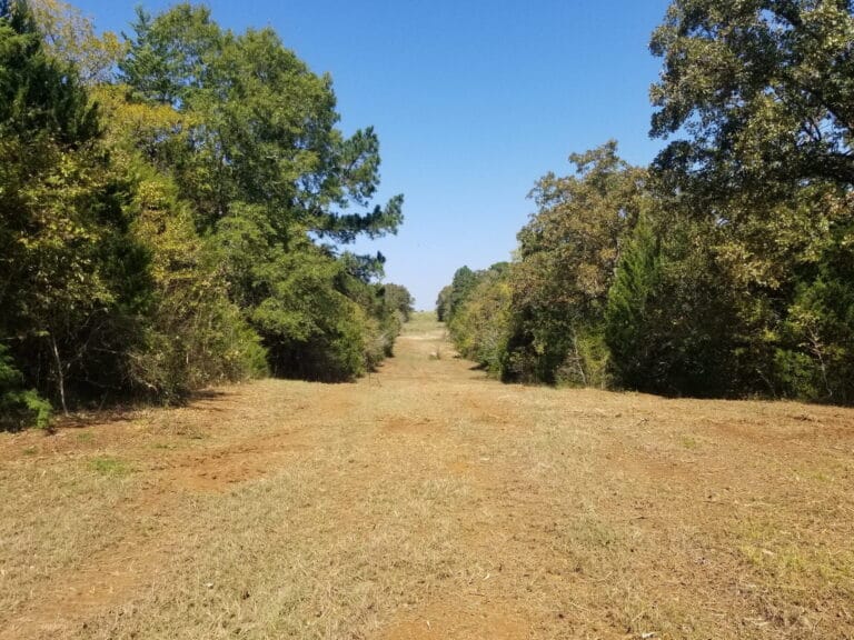 Comprehensive Land Clearing and Forestry Mulching in Palestine, Texas